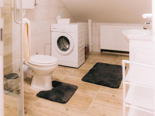 Apartman Aleksandar Lux Palic Ngoại thất bức ảnh