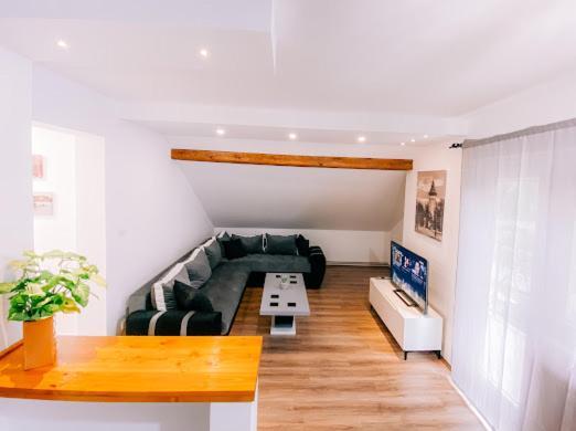 Apartman Aleksandar Lux Palic Ngoại thất bức ảnh