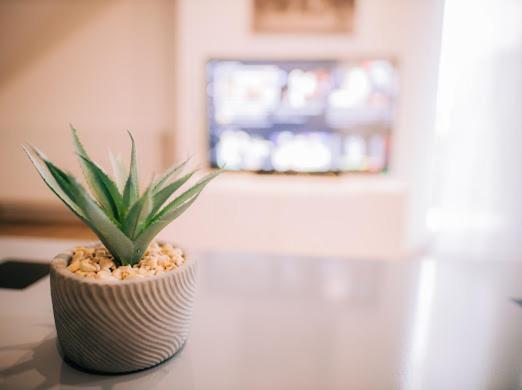 Apartman Aleksandar Lux Palic Ngoại thất bức ảnh
