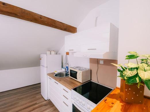 Apartman Aleksandar Lux Palic Ngoại thất bức ảnh